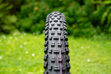 Schwalbe ALBERT Radial Gravity Pro ADDIX Ultra Soft 29x2.50